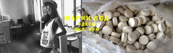 прущие грибы Белоозёрский