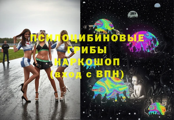 прущие грибы Белоозёрский