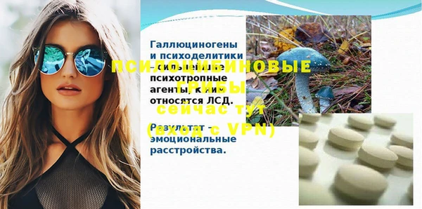кокаин Белокуриха