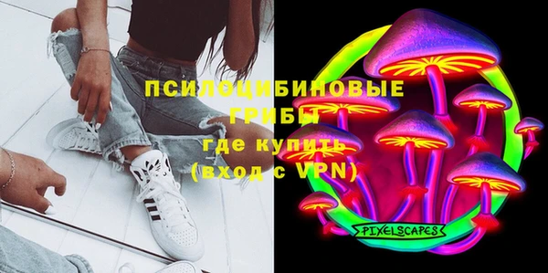 прущие грибы Белоозёрский