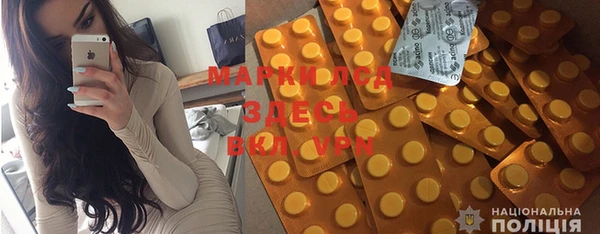прущие грибы Белоозёрский