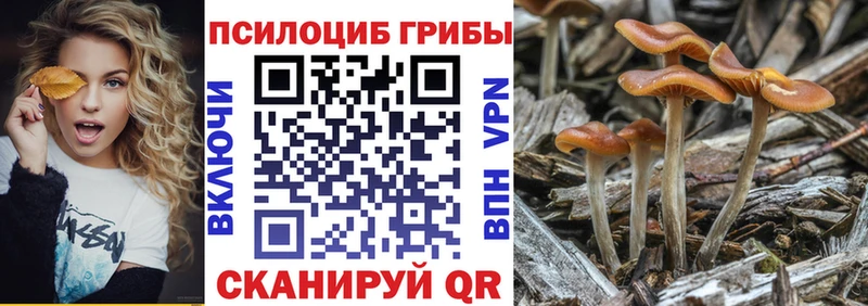 блэк спрут ссылка  Нижние Серги  Галлюциногенные грибы Cubensis  где найти наркотики 