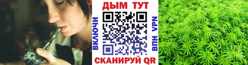 Бошки марихуана сатива  наркошоп  Нижние Серги 